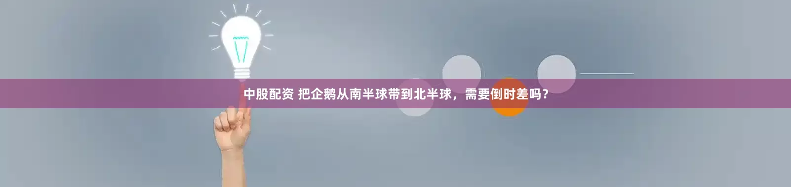 中股配资 把企鹅从南半球带到北半球，需要倒时差吗？