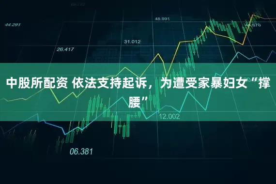中股所配资 依法支持起诉，为遭受家暴妇女“撑腰”