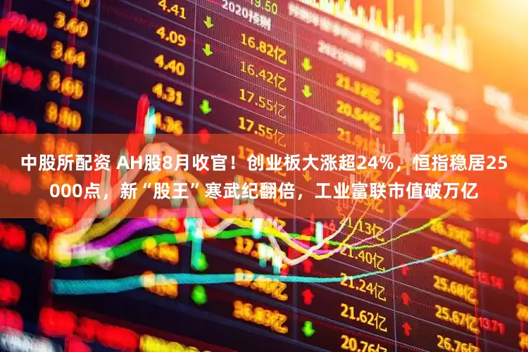 中股所配资 AH股8月收官！创业板大涨超24%，恒指稳居25000点，新“股王”寒武纪翻倍，工业富联市值破万亿