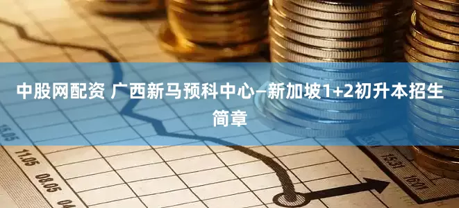 中股网配资 广西新马预科中心—新加坡1+2初升本招生简章
